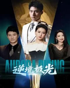 逆境极光