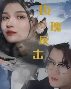 玫瑰反击