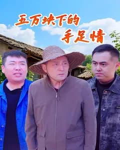 五万块下的手足情