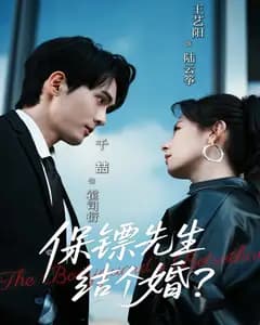 保镖先生，结个婚