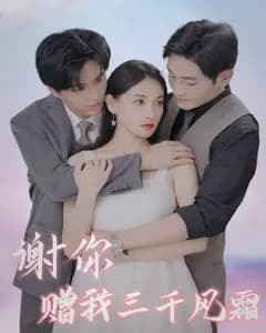谢你赠我三千风霜