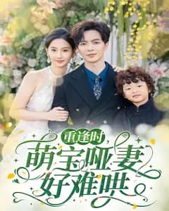 重逢时,萌宝哑妻好难哄