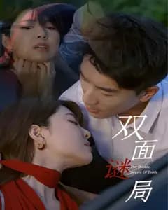 双面谜局