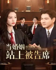 当婚姻站上被告席