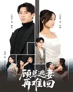 顾总逃妻再难回