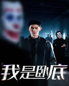 我是卧底