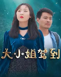 大小姐驾到