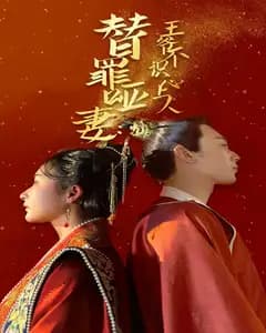 替罪哑妻:王爷不识心上人