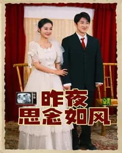 昨夜思念如风