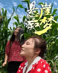 悬崖痴梦