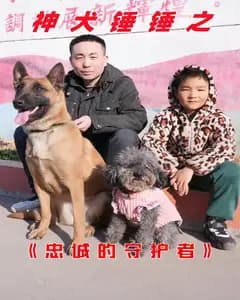 神犬锤锤之忠诚的守护者
