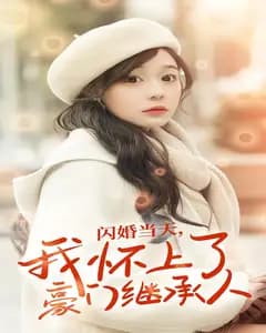 闪婚当天,我怀上了豪门继承人