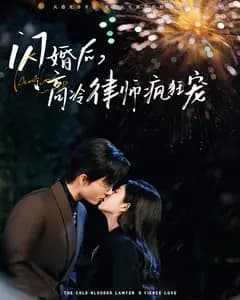 闪婚后,高冷律师疯狂宠