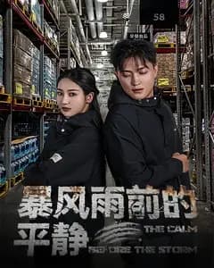 暴风雨前的平静