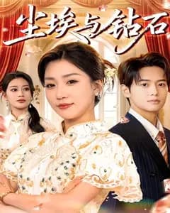 尘埃与钻石