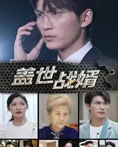 盖世战婿