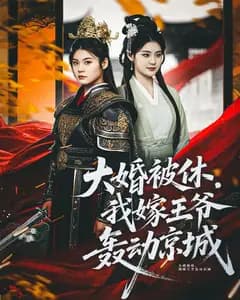 大婚被休,我嫁王爷轰动京城