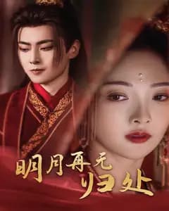 明月再无归处
