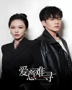 爱意难寻