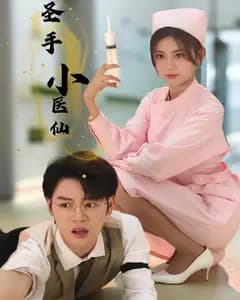 圣手小医仙