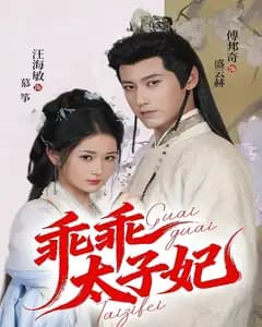 乖乖太子妃