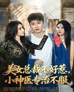 美女总裁不好惹,小神医专治不服