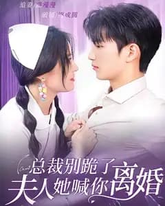 总裁别跪了,夫人她喊你离婚