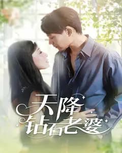 天降钻石老婆