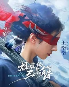 姐姐的三条簪