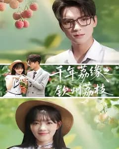 千年荔缘之钦州荔枝