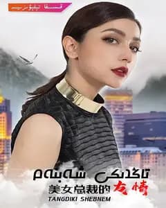 美女总裁的友情