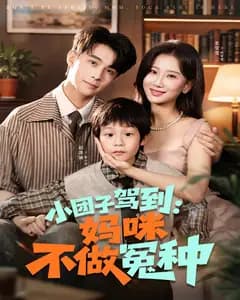小团子驾到:妈咪不做冤种