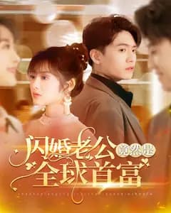 闪婚老公竟然是全球首富