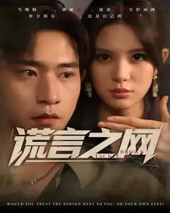 谎言之网