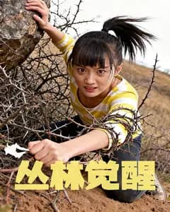 丛林觉醒