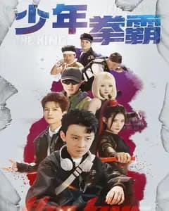 少年拳霸