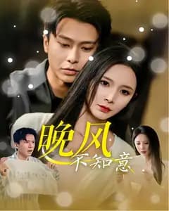 晚风不知意