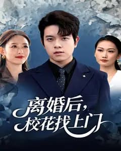 离婚后,校花找上门