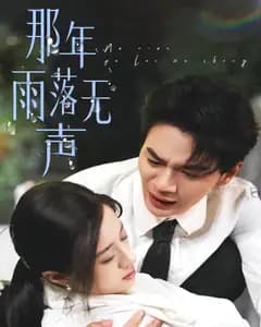那年雨落无声