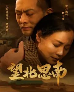 望北思南