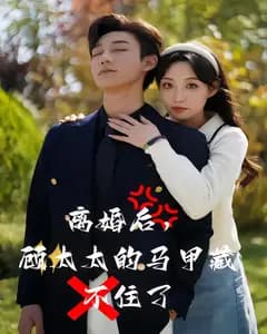 离婚后,顾太太的马甲藏不住了