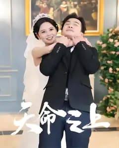天命之上
