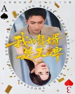我的赘婿是王牌