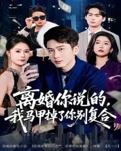 离婚你说的,我马甲掉了你别复合