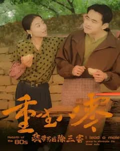 重生八零我带男团除三害