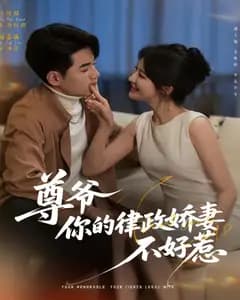 尊爷,你的律政娇妻不好惹