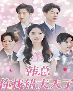 韩总,你找错夫人了