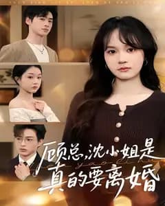 顾总,沈小姐是真的要离婚