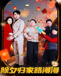 除夕归家路漫漫