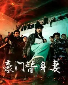 豪门替身妻